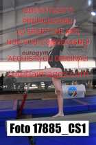 17885_CS1-