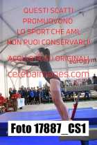 17887_CS1-