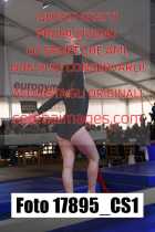 17895_CS1-