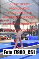 17900_CS1-