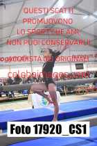 17920_CS1-