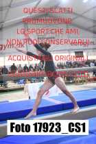 17923_CS1-