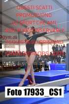 17933_CS1-