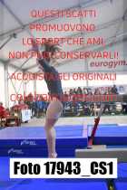 17943_CS1-