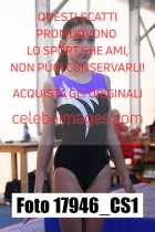 17946_CS1-