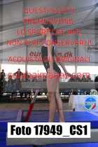 17949_CS1-
