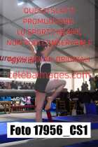 17956_CS1-