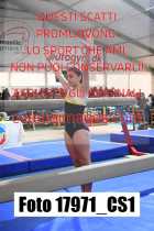 17971_CS1-