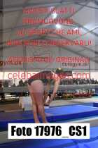 17976_CS1-