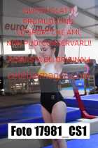 17981_CS1-