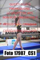 17987_CS1-