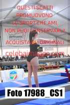 17988_CS1-