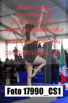 17990_CS1-
