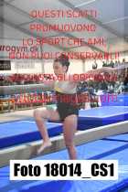 18014_CS1-