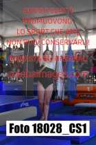 18028_CS1-