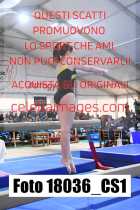 18036_CS1-
