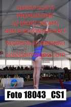 18043_CS1-