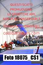 18075_CS1-