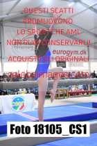18105_CS1-