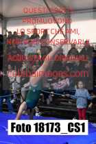 18173_CS1-
