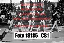 18185_CS1-