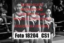 18204_CS1-