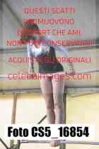 CS5_16854-