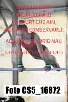 CS5_16872-