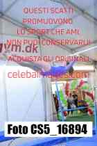 CS5_16894-