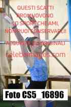 CS5_16896-