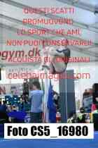CS5_16980-