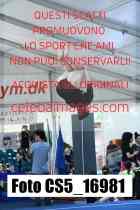 CS5_16981-