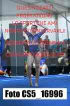 CS5_16996-