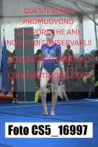 CS5_16997-