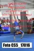 CS5_17016-