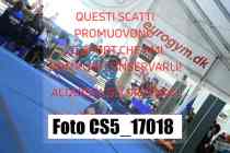 CS5_17018-