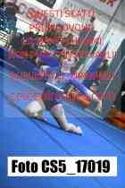 CS5_17019-