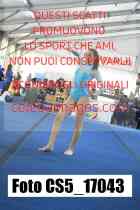CS5_17043-
