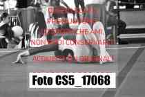 CS5_17068-