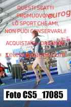 CS5_17085-