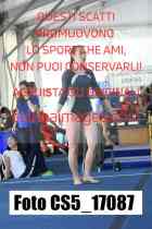 CS5_17087-