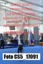 CS5_17091-