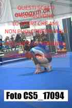 CS5_17094-