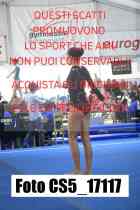 CS5_17117-