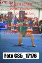 CS5_17176-