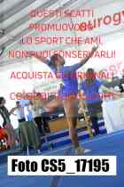 CS5_17195-