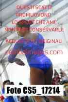 CS5_17214-