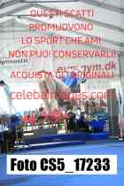 CS5_17233-