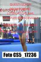CS5_17236-