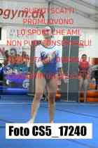 CS5_17240-